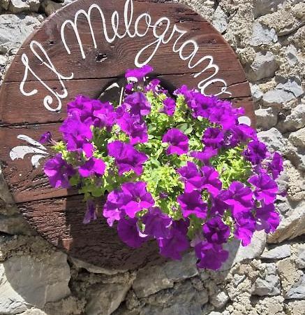 B&B Il Melograno Tortorella Exterior photo