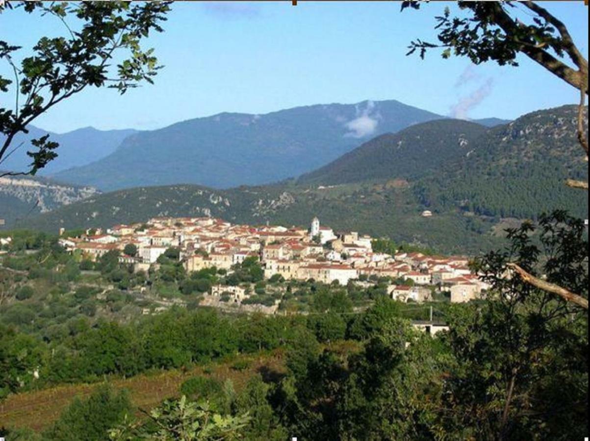 B&B Il Melograno Tortorella Exterior photo